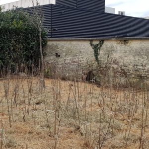 20210312_165438 copie