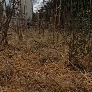 20210312_165727 copie