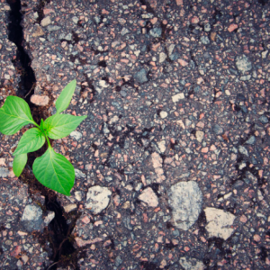 Capture d’écran 2024-07-06 à 18.31.02