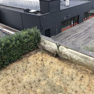 Copy of IMG_1114~photo copie