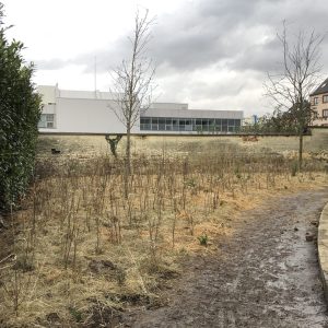 Copy of IMG_1138~photo copie