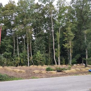 IMG_20230920_133427 copie