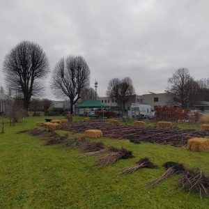 IMG_20231214_103300 copie