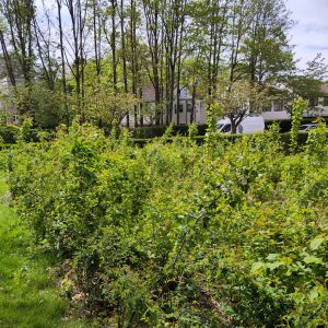 IMG_20240425_135258 copie