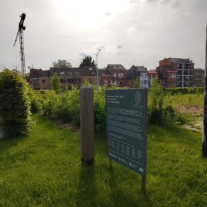 IMG_20240510_172521 copie