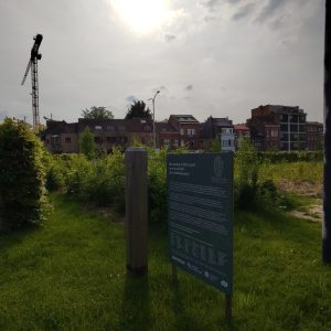 IMG_20240510_172525 copie