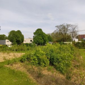 IMG_20240510_172615 copie