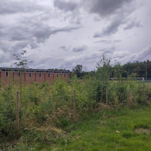 IMG_20240708_161310 copie