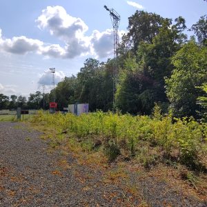 IMG_20240724_155603 copie