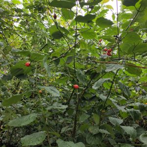 IMG_20240906_140522 copie