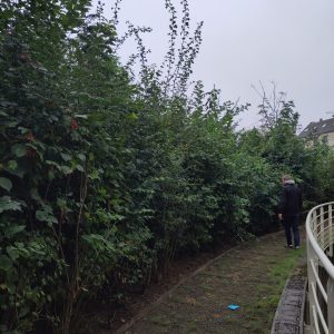 IMG_20240906_140603 copie