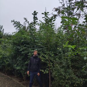 IMG_20240906_141107 copie