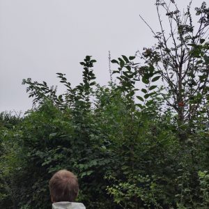 IMG_20240906_141122 copie