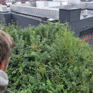 IMG_20240906_141729 copie