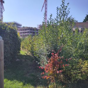 IMG_20240920_130157 copie